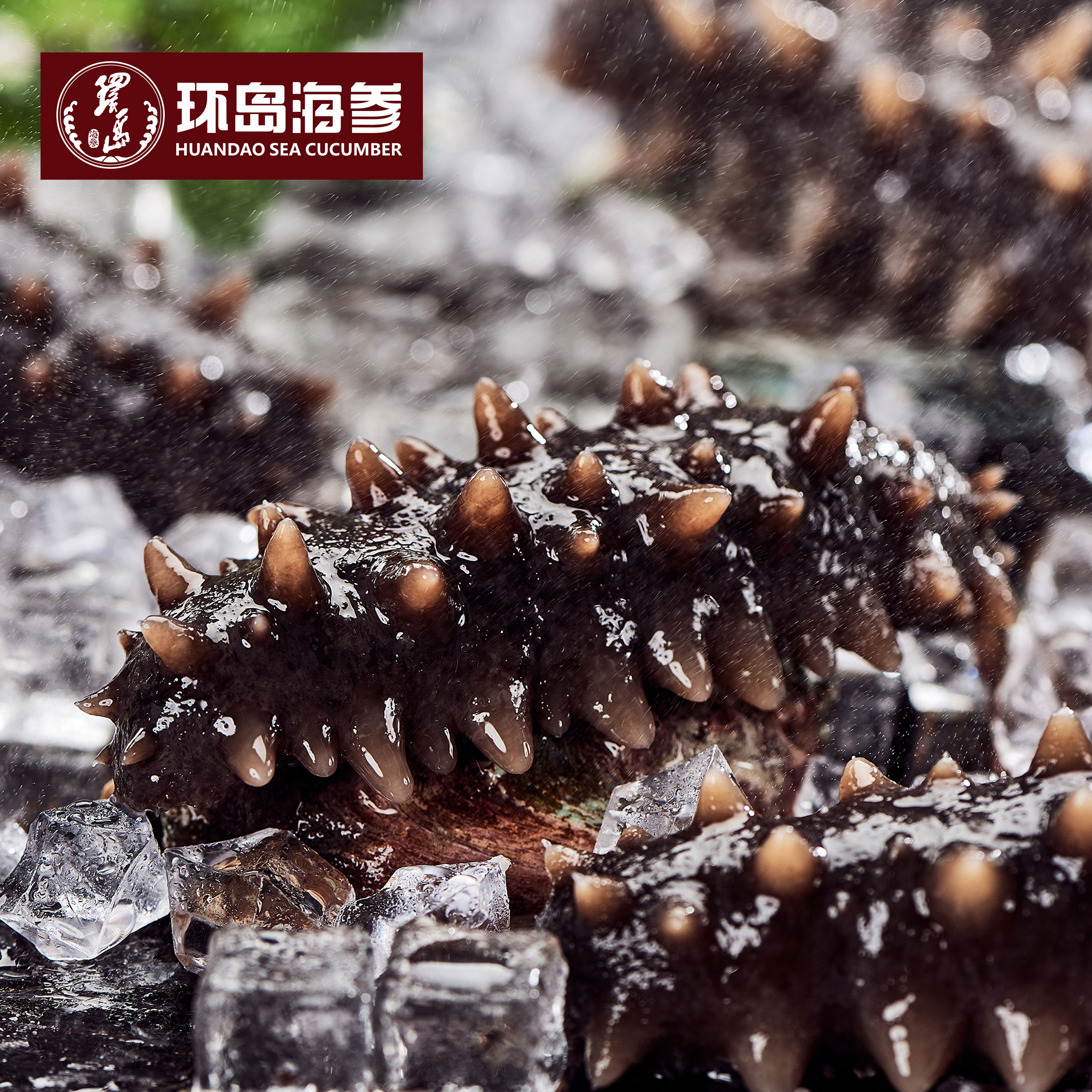 �������ǲ���(�й���)�ٷ���վ